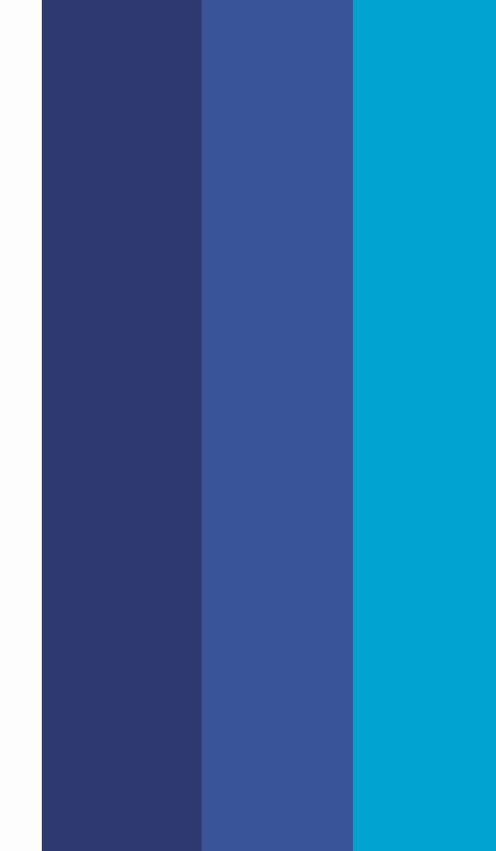 Untitled (700 x 1200 px) (1)