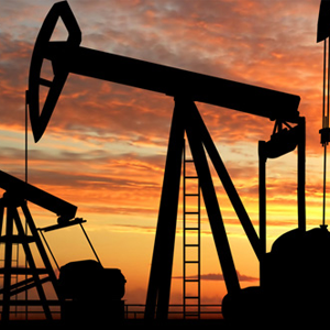 Barbados National Oil Company