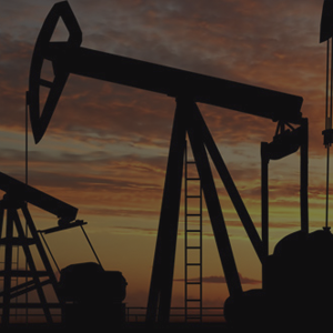 Barbados National Oil Company