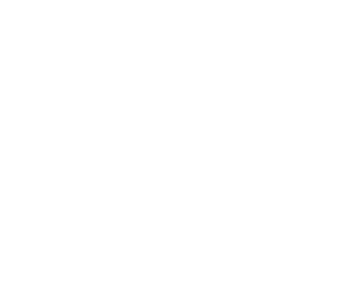 RiseSAPWhiteLogo
