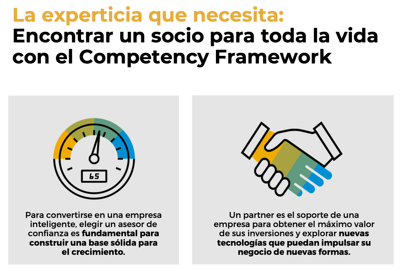 Como seleccionar y administrar su partner implementador de Soluciones SAP