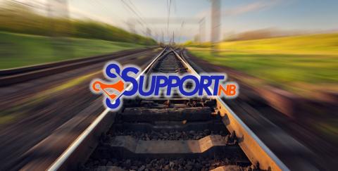 Support NB: consultoría remota SAP a bajo costo